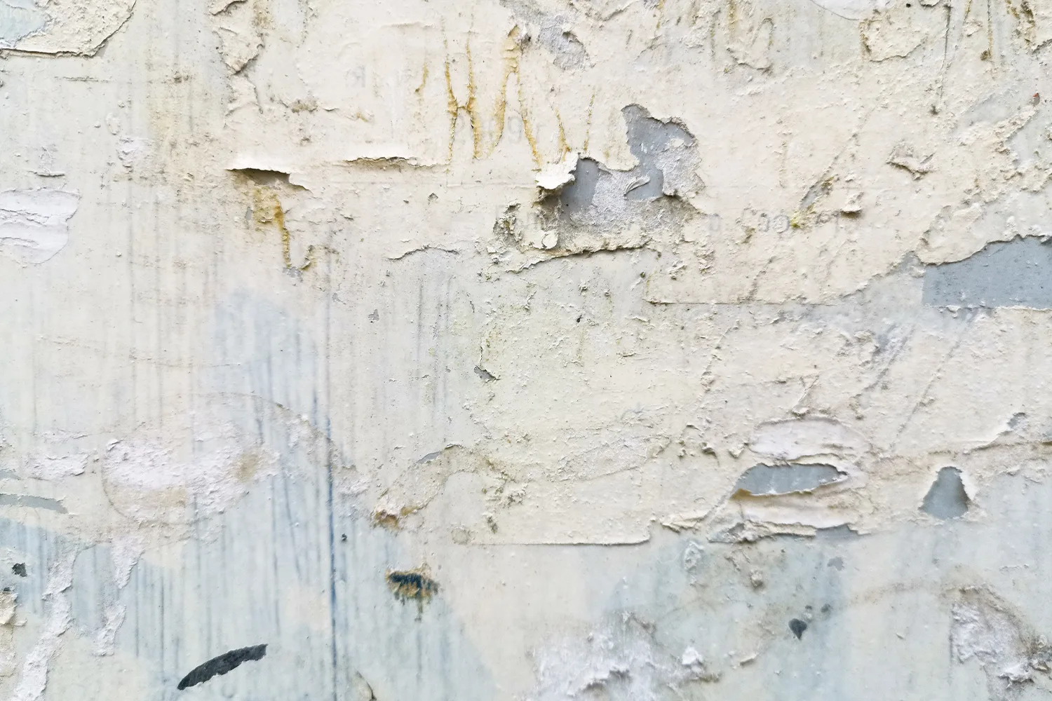 Paint blistering and peeling away from a damp wall